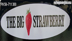 The Big Strawberry